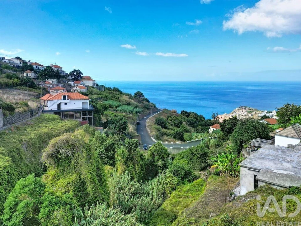 Terreno para Venda em Ribeira Brava Foto 4