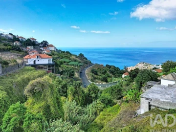 Terreno para Venda em Ribeira Brava