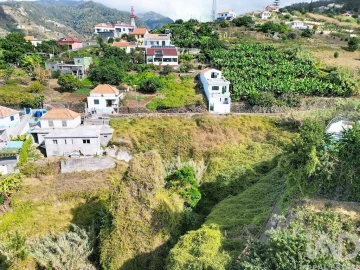 Terreno para Venda em Ribeira Brava