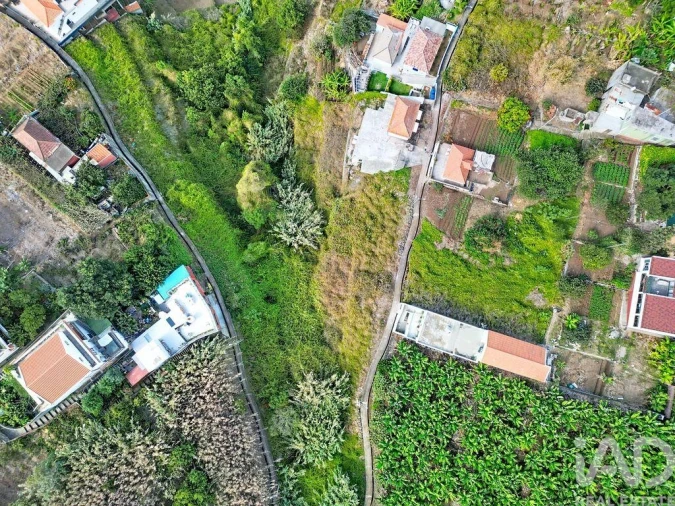 Terreno para Venda em Ribeira Brava Foto 9