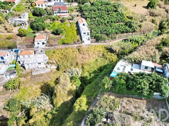 Terreno para Venda em Ribeira Brava Foto 11
