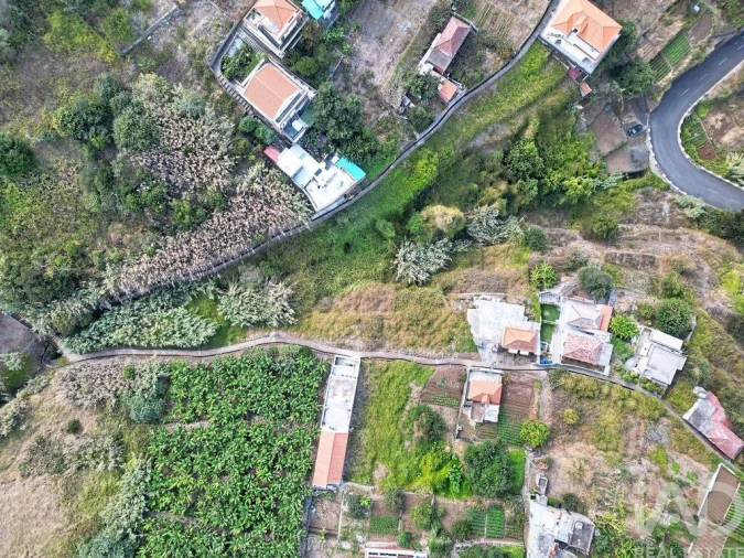 Terreno para Venda em Ribeira Brava Foto 14