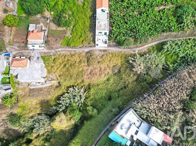 Terreno para Venda em Ribeira Brava Foto 8