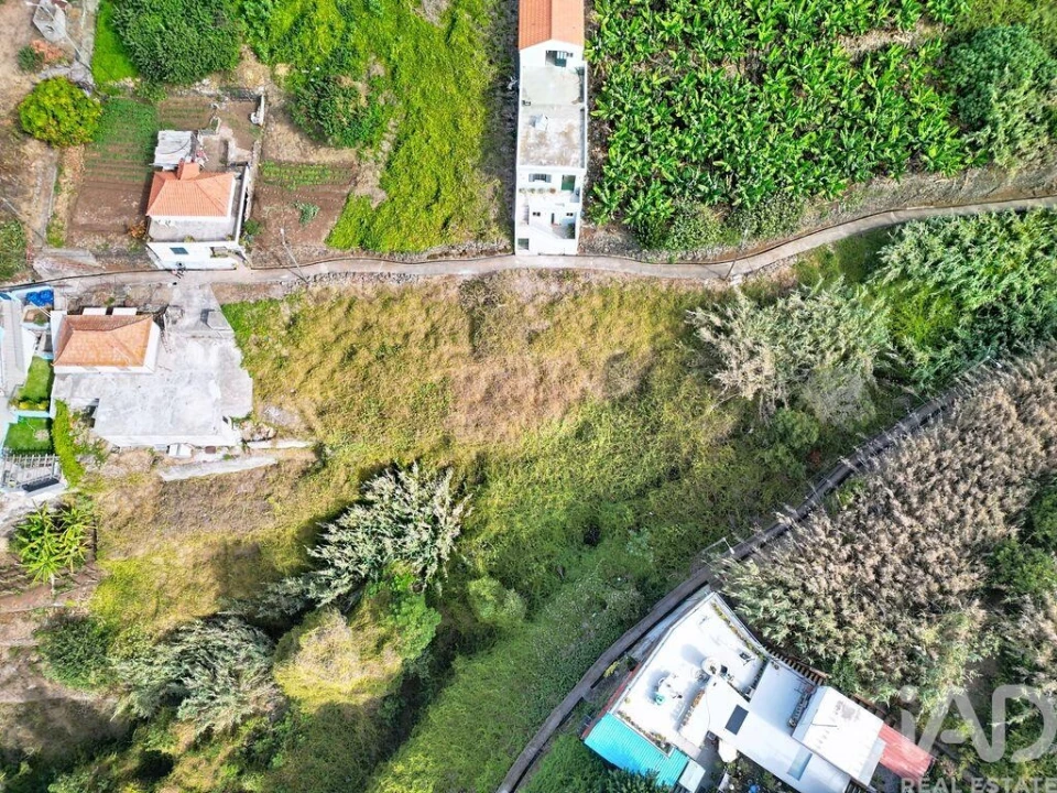 Terreno para Venda em Ribeira Brava Foto 8