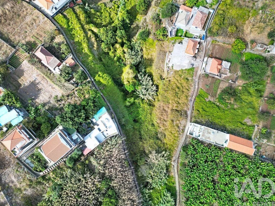 Terreno para Venda em Ribeira Brava Foto 2