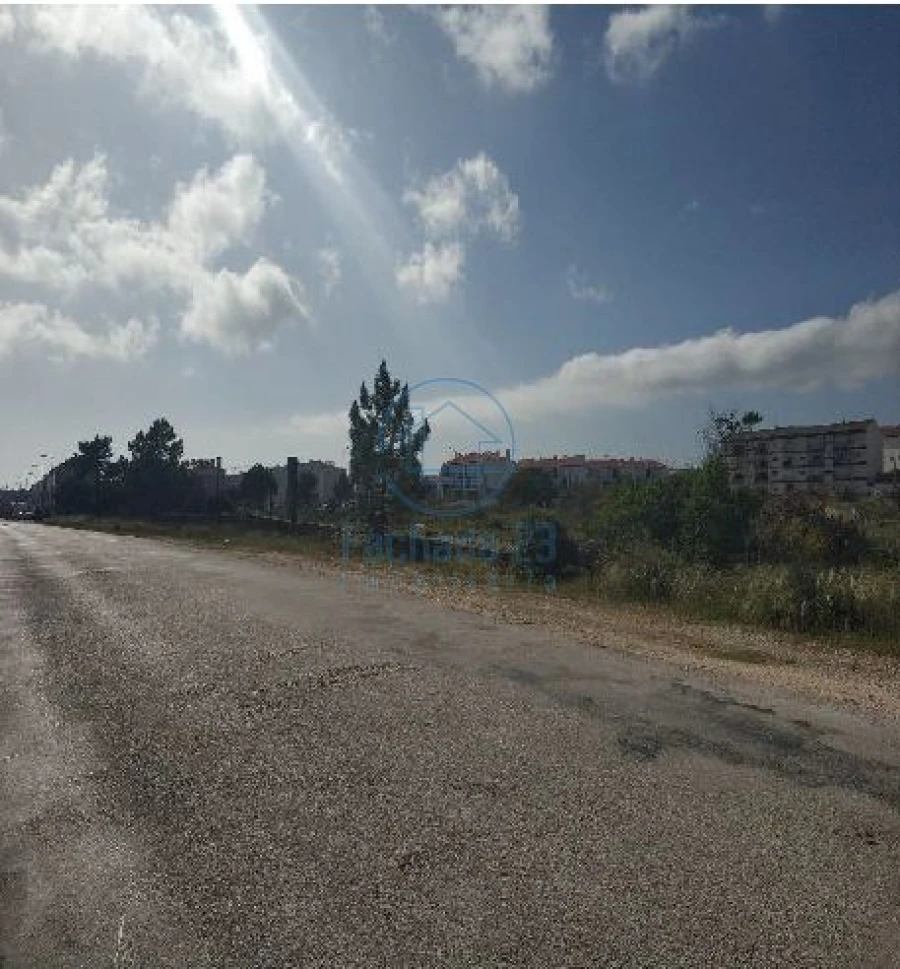 Terreno para Venda em São Pedro Foto 4