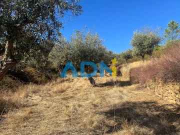 Terreno para Venda em Cebolais de Cima e Retaxo