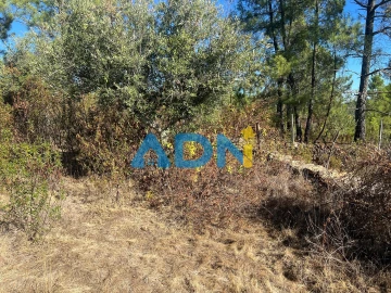 Terreno para Venda em Cebolais de Cima e Retaxo