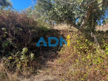 Terreno para Venda em Cebolais de Cima e Retaxo