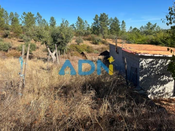 Terreno para Venda em Cebolais de Cima e Retaxo