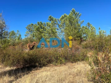Terreno para Venda em Cebolais de Cima e Retaxo