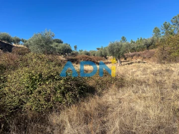 Terreno para Venda em Cebolais de Cima e Retaxo