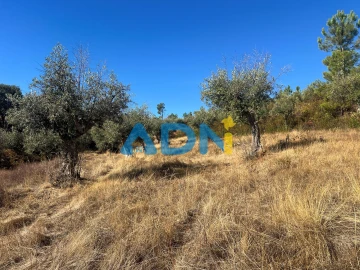 Terreno para Venda em Cebolais de Cima e Retaxo