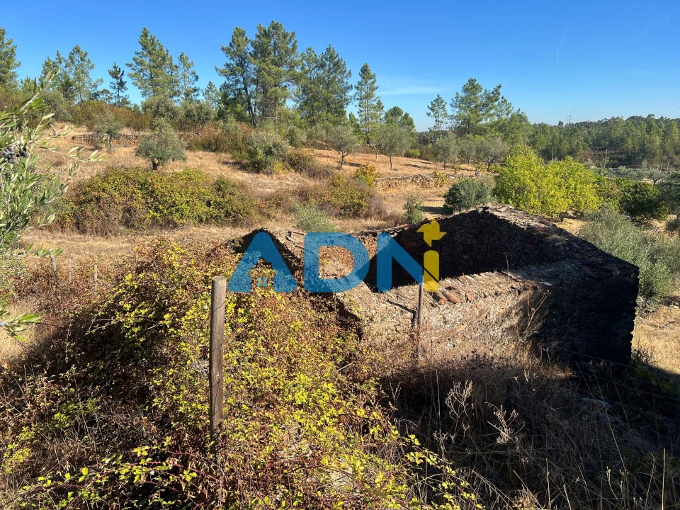 Terreno para Venda em Cebolais de Cima e Retaxo Foto 31
