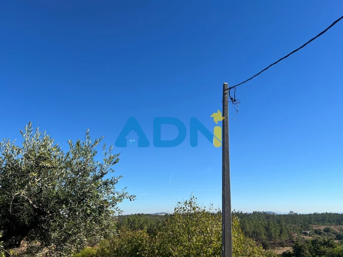 Terreno para Venda em Cebolais de Cima e Retaxo Foto 32