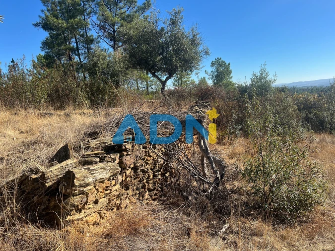 Terreno para Venda em Cebolais de Cima e Retaxo Foto 9