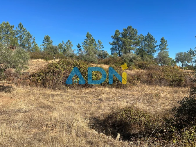 Terreno para Venda em Cebolais de Cima e Retaxo Foto 21