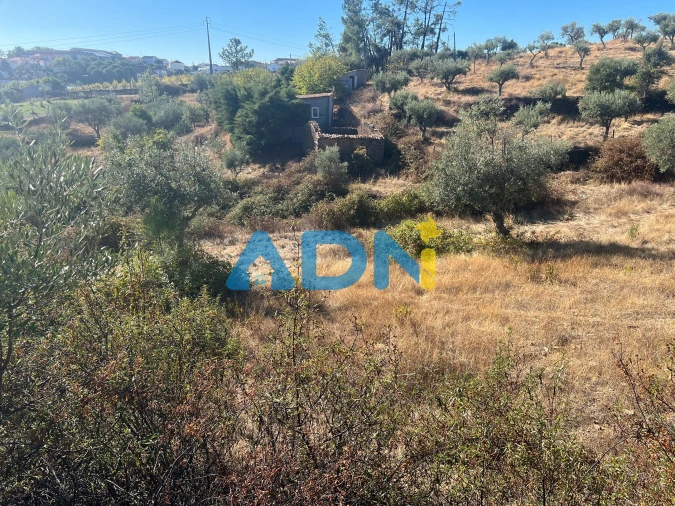 Terreno para Venda em Cebolais de Cima e Retaxo Foto 2