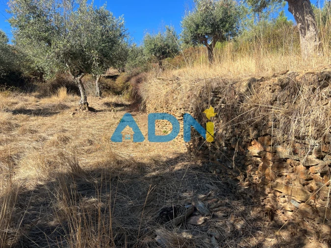 Terreno para Venda em Cebolais de Cima e Retaxo Foto 24