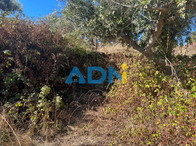 Terreno para Venda em Cebolais de Cima e Retaxo Foto 26