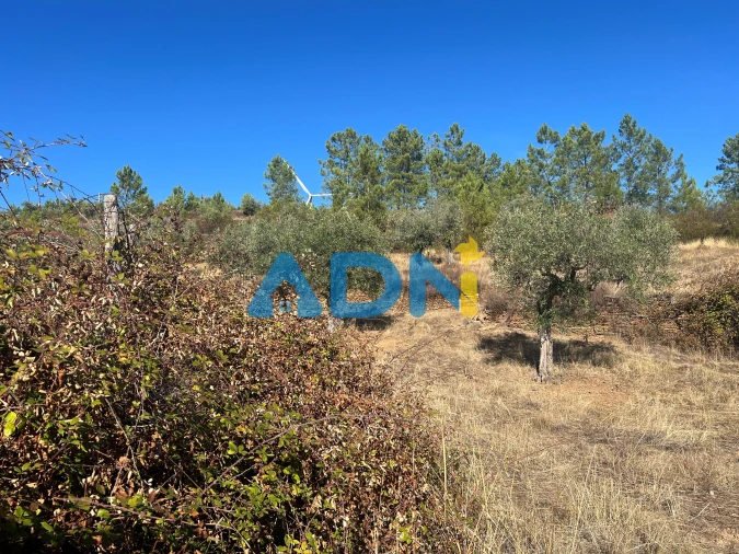 Terreno para Venda em Cebolais de Cima e Retaxo Foto 20