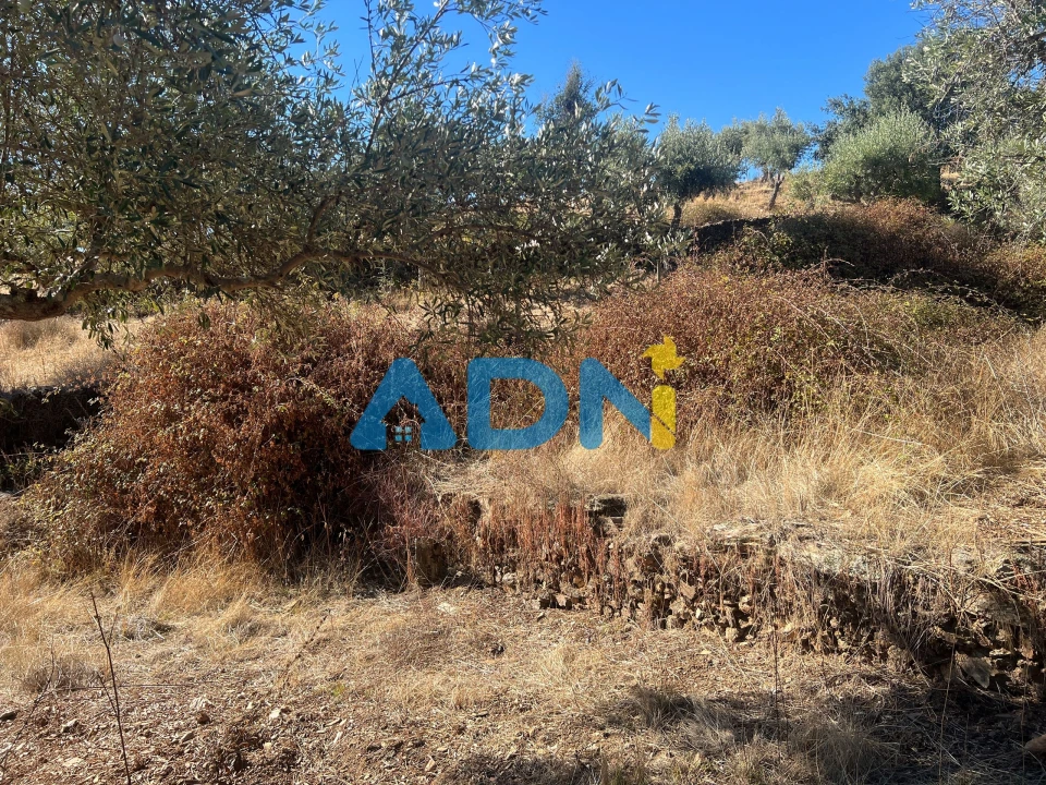 Terreno para Venda em Cebolais de Cima e Retaxo Foto 13