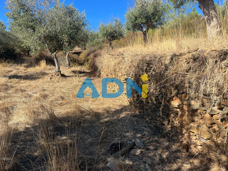 Terreno para Venda em Cebolais de Cima e Retaxo Foto 24