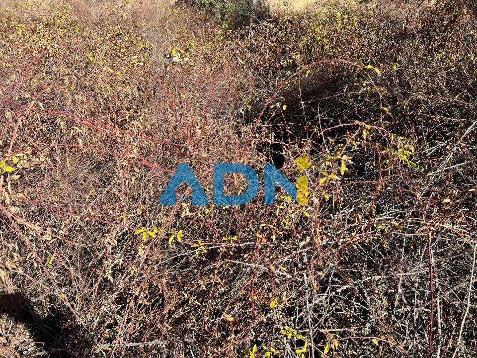 Terreno para Venda em Cebolais de Cima e Retaxo Foto 25