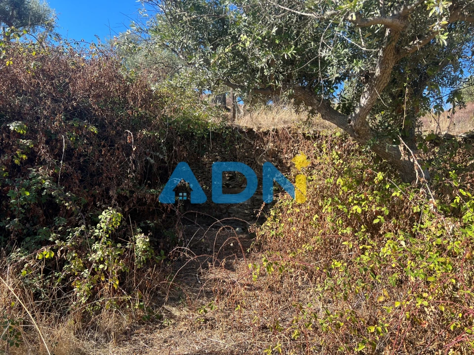 Terreno para Venda em Cebolais de Cima e Retaxo Foto 26