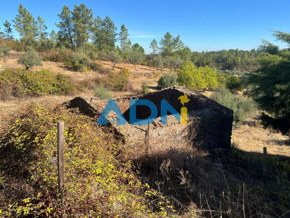 Terreno para Venda em Cebolais de Cima e Retaxo Foto 1
