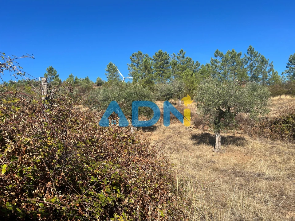 Terreno para Venda em Cebolais de Cima e Retaxo Foto 20