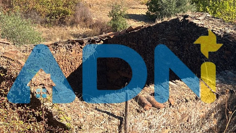 Terreno para Venda em Cebolais de Cima e Retaxo