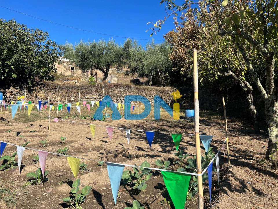 Terreno para Venda em Cebolais de Cima e Retaxo Foto 32