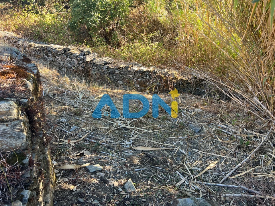 Terreno para Venda em Cebolais de Cima e Retaxo Foto 22