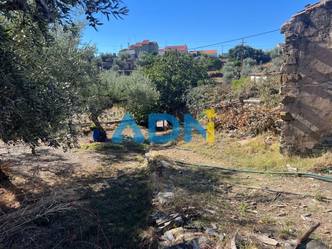 Terreno para Venda em Cebolais de Cima e Retaxo Foto 20