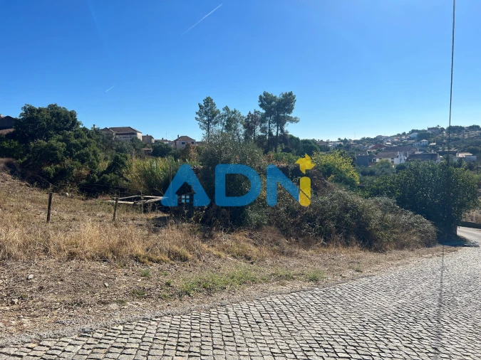 Terreno para Venda em Cebolais de Cima e Retaxo Foto 27
