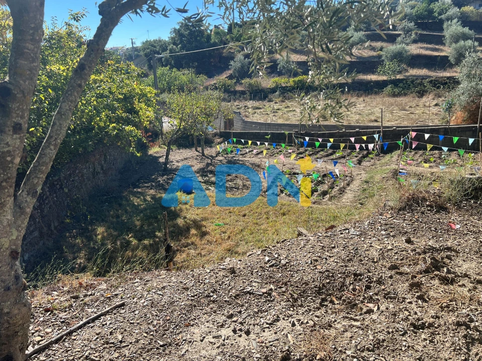 Terreno para Venda em Cebolais de Cima e Retaxo Foto 14