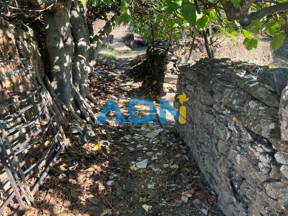 Terreno para Venda em Cebolais de Cima e Retaxo Foto 5