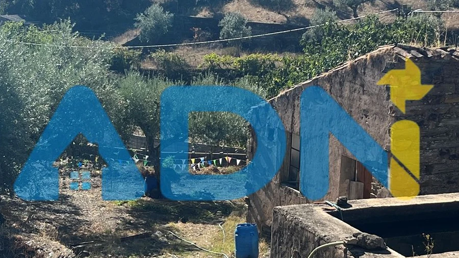 Terreno para Venda em Cebolais de Cima e Retaxo