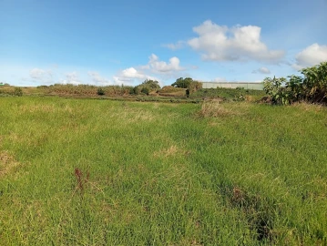 Terreno Agricola ou Rústico para Venda em Rabo de Peixe