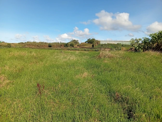 Terreno Agricola ou Rústico para Venda em Rabo de Peixe Foto 7