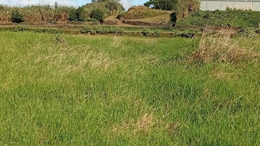 Terreno Agricola ou Rústico para Venda em Rabo de Peixe