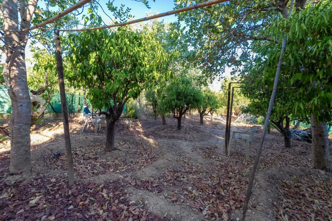 Moradia T2 para Venda em Silves Foto 66