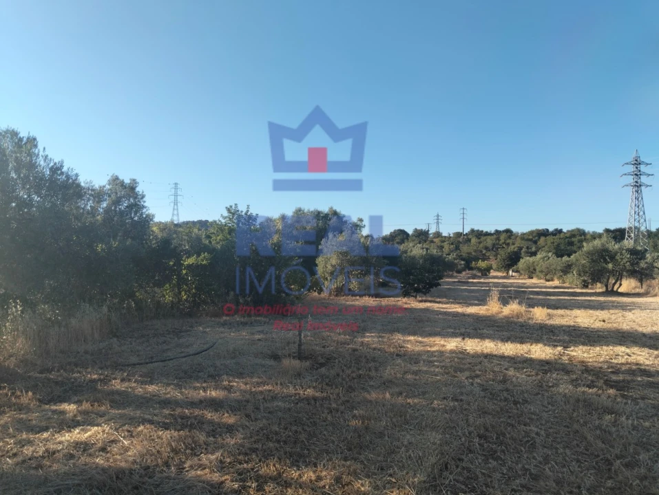 Moradia para Venda em São Brás de Alportel Foto 10