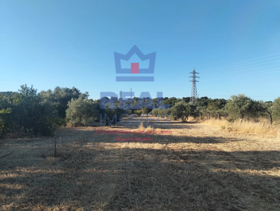Moradia para Venda em São Brás de Alportel Foto 11