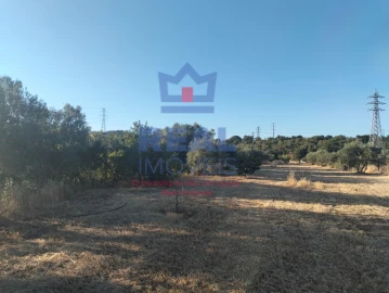 Moradia para Venda em São Brás de Alportel