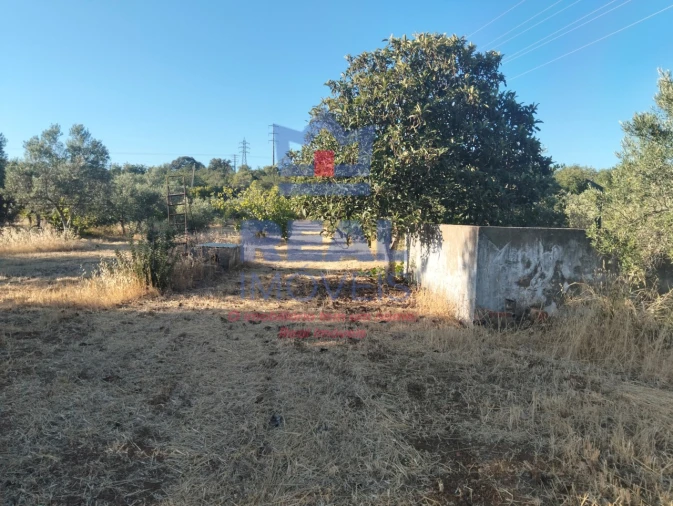 Moradia para Venda em São Brás de Alportel Foto 8