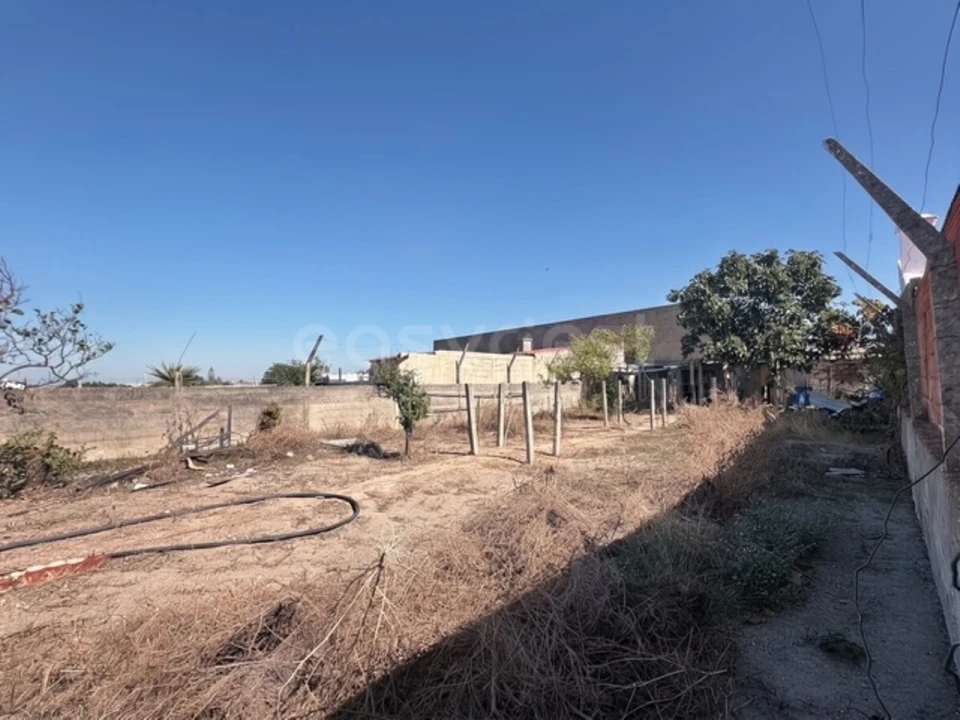 Terreno para Venda em Montijo e Afonsoeiro Foto 9