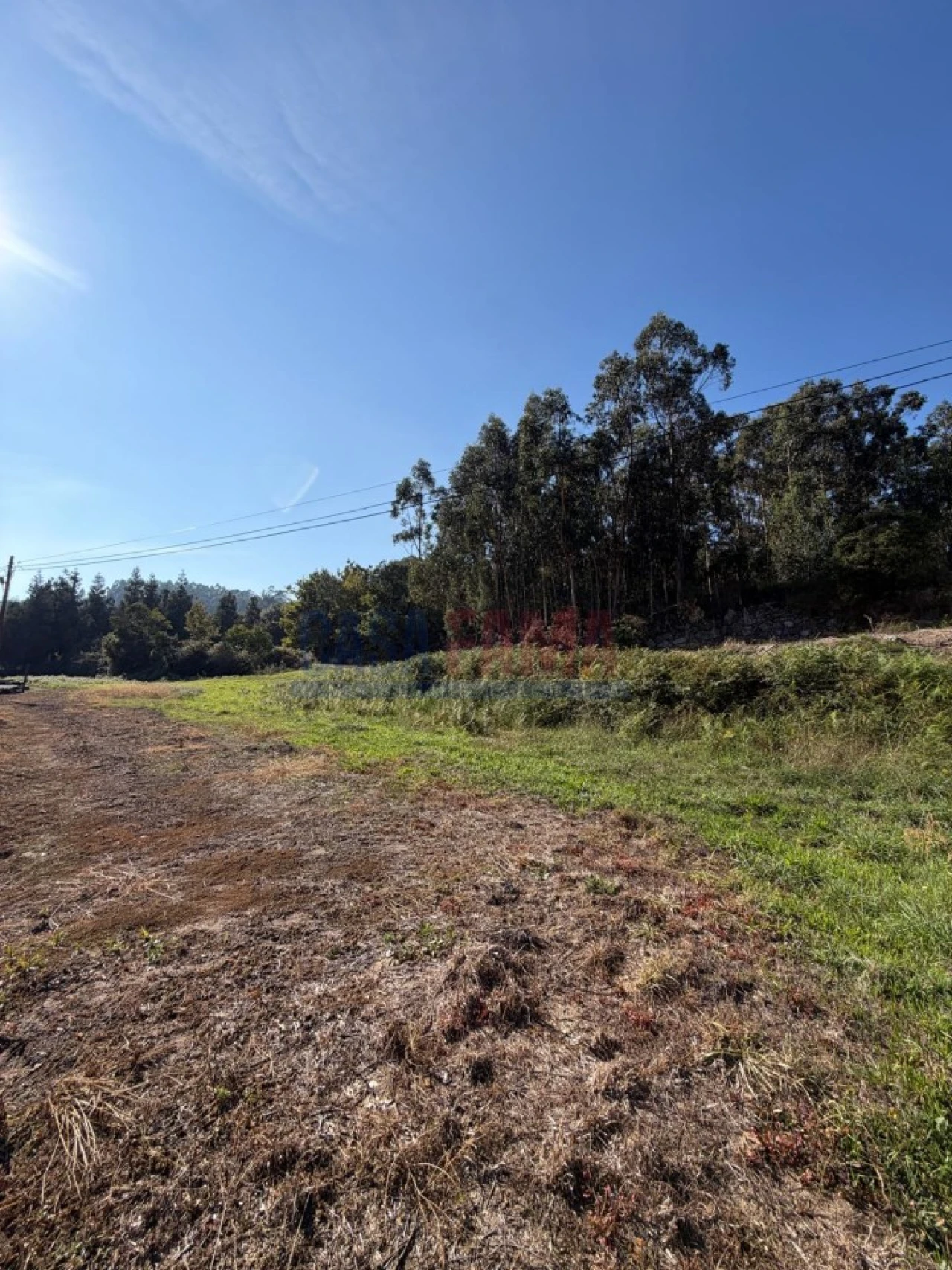 Terreno para Venda em Rebordões Foto 16