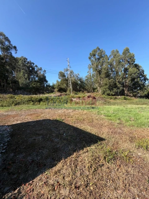 Terreno para Venda em Rebordões